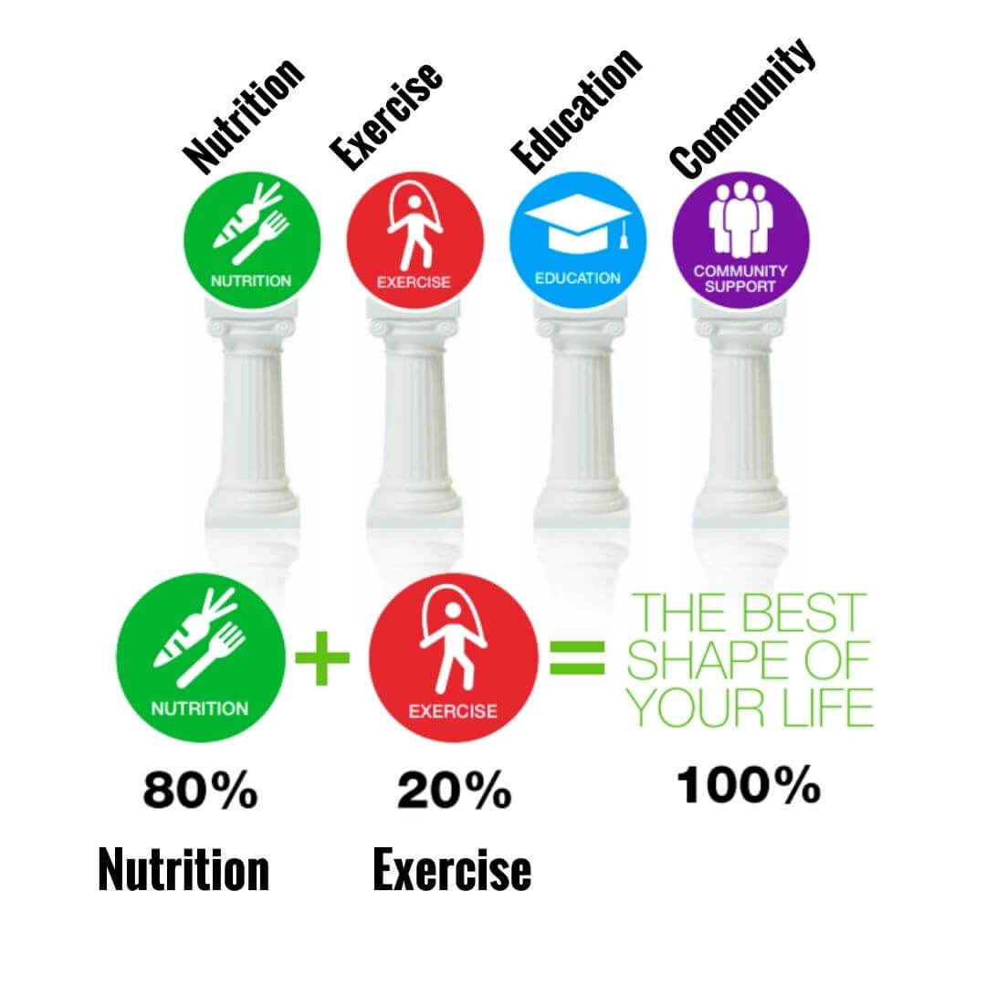 The 4 pillars, showing the 80% nutrition and 20% exercise requirement. The Four pillars of Support